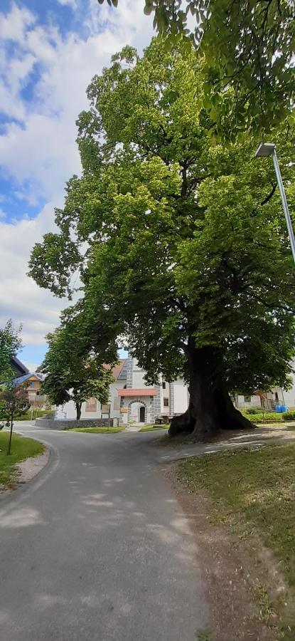 Apartmaji Mojca Hostal Križe Exterior foto