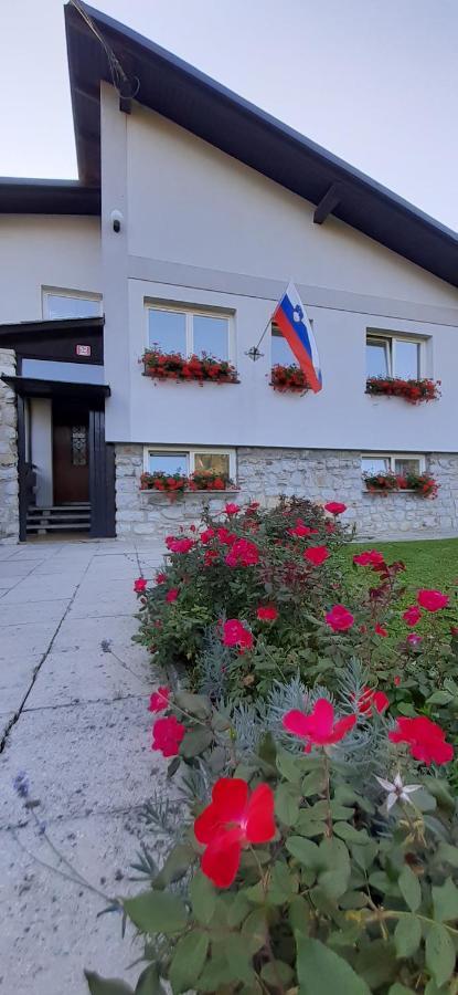 Apartmaji Mojca Hostal Križe Exterior foto